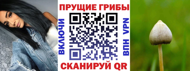 Псилоцибиновые грибы MAGIC MUSHROOMS  Льгов 
